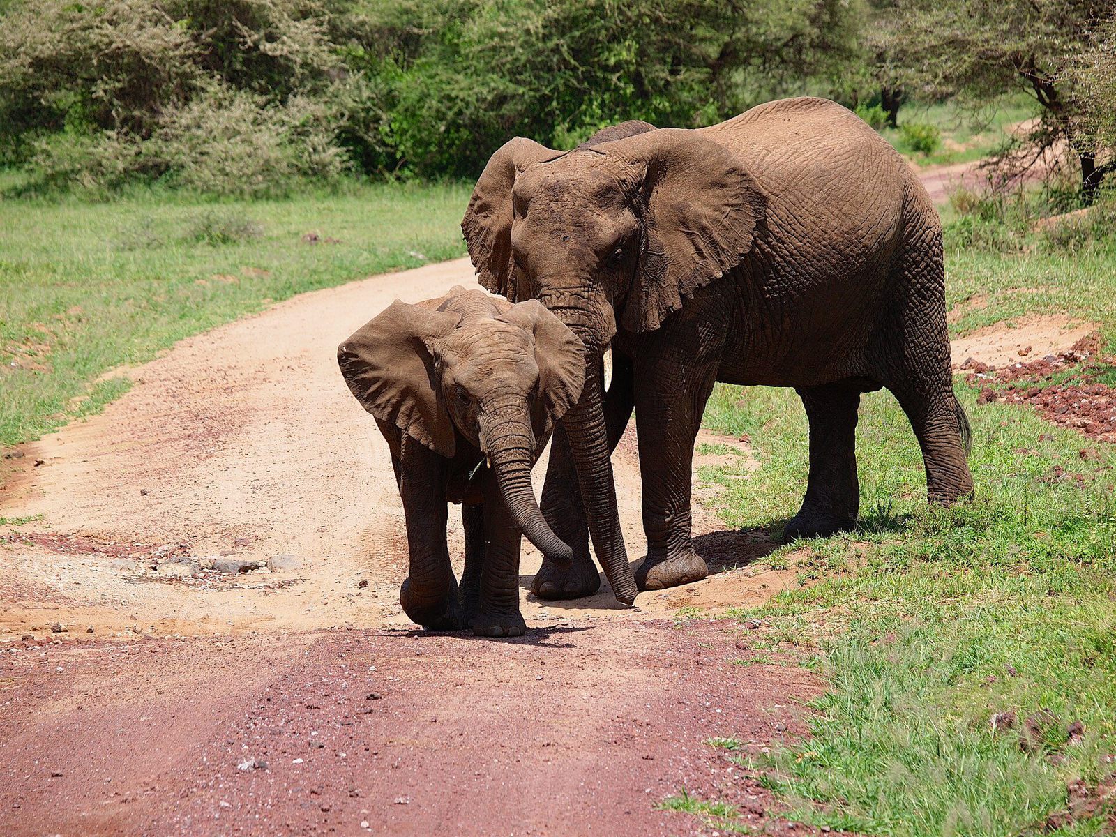Lake Manyara National Park