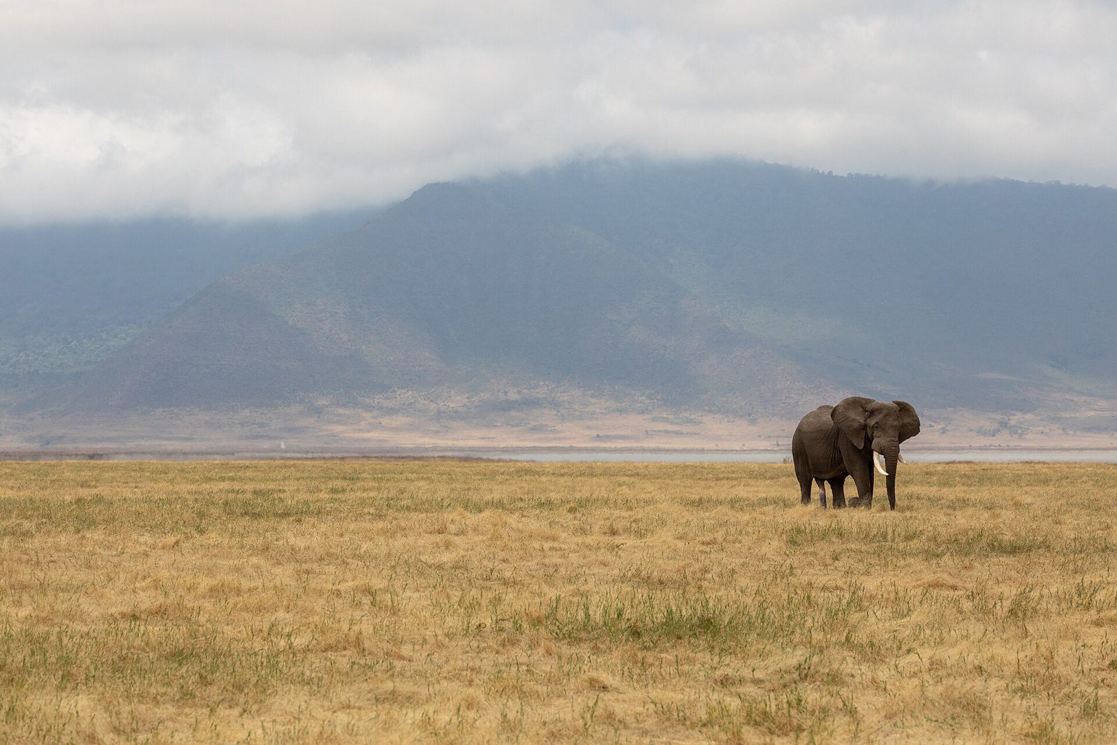 Ngorongoro Crater