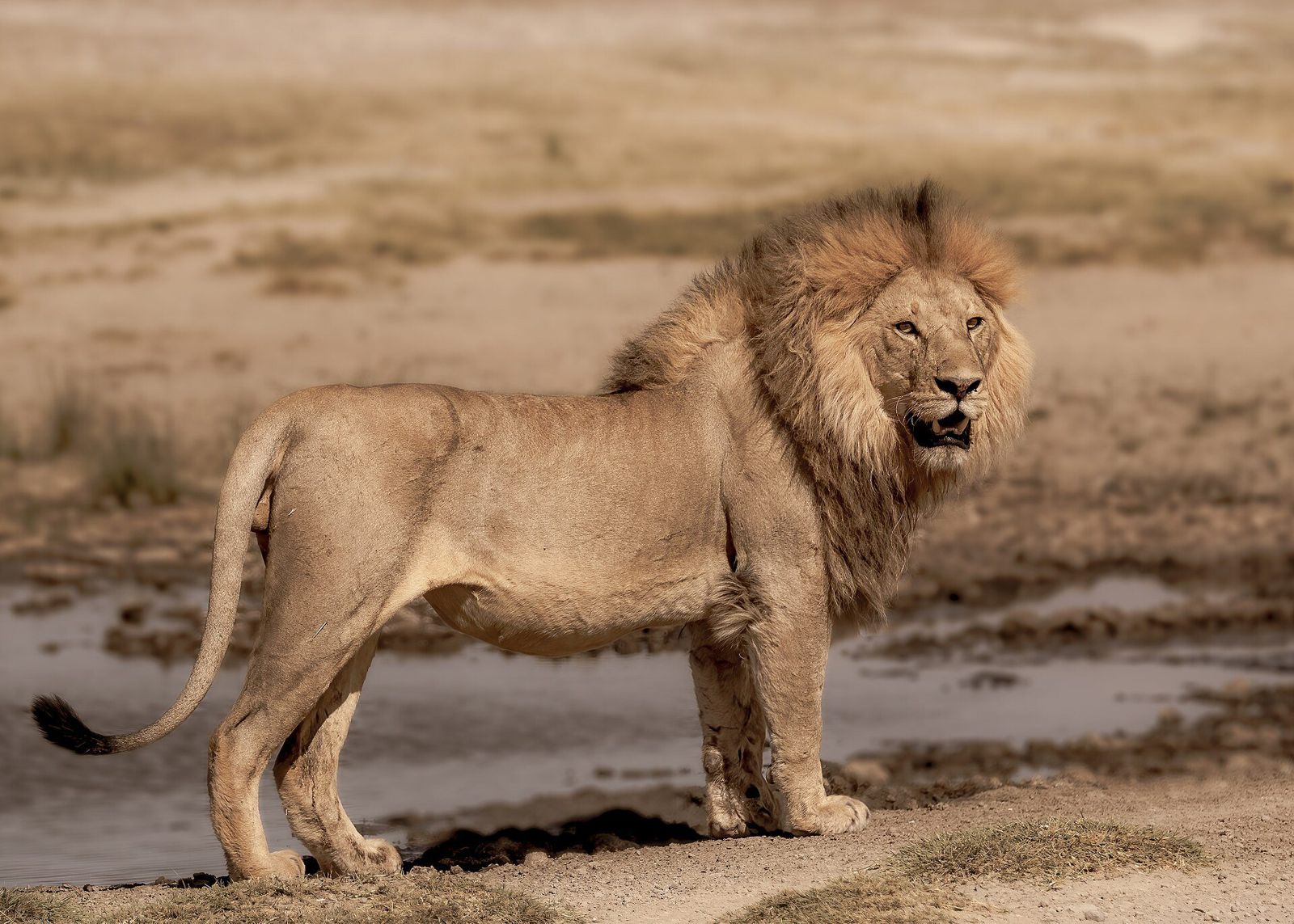 Serengeti National Park